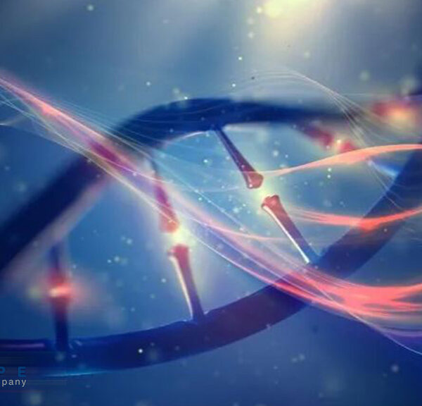 سلول‌های سرطانی DNA آسیب دیده را ترمیم می‌کنند